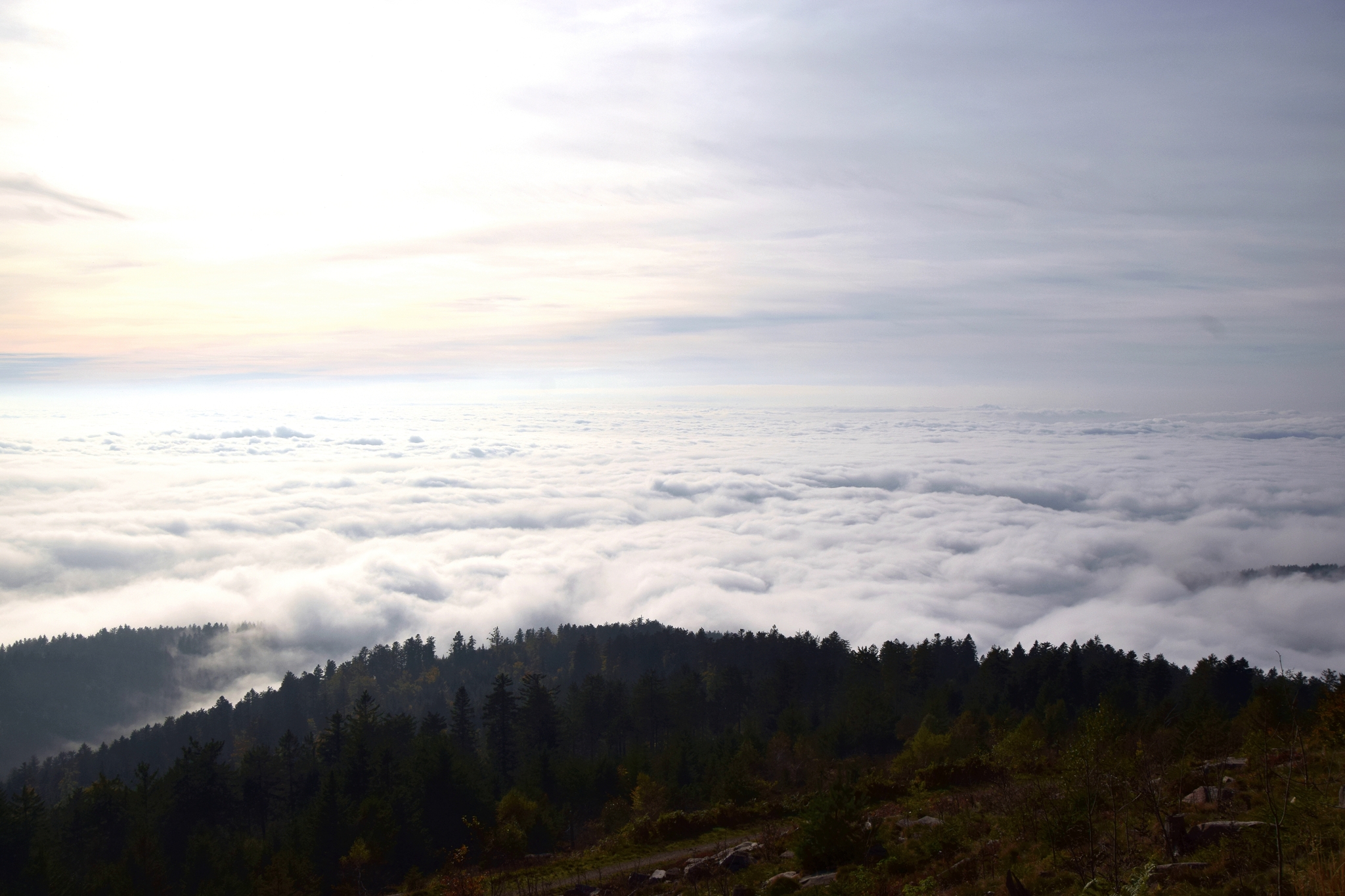 Über den Wolken