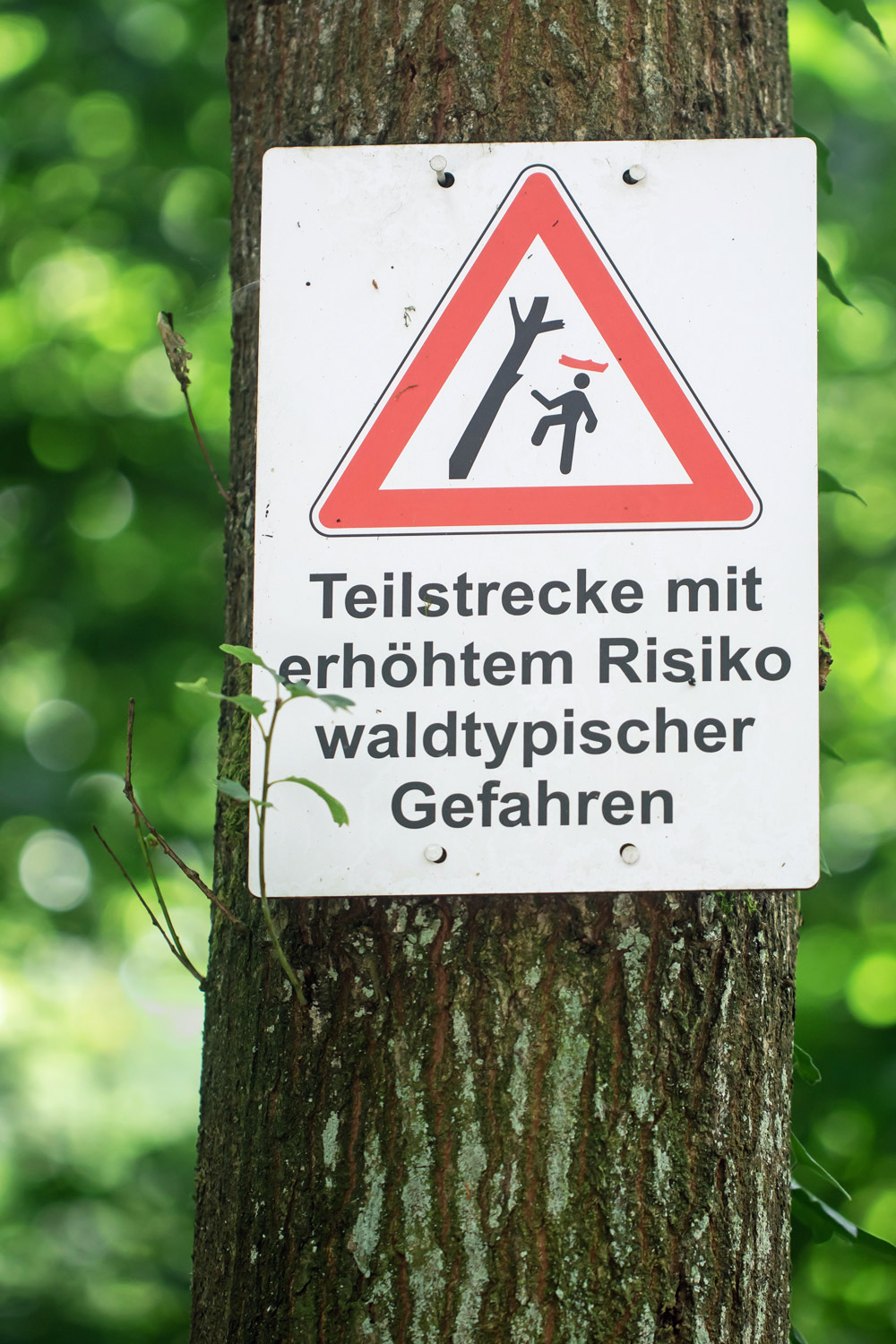 Offenbar nicht nur bei Sturm...