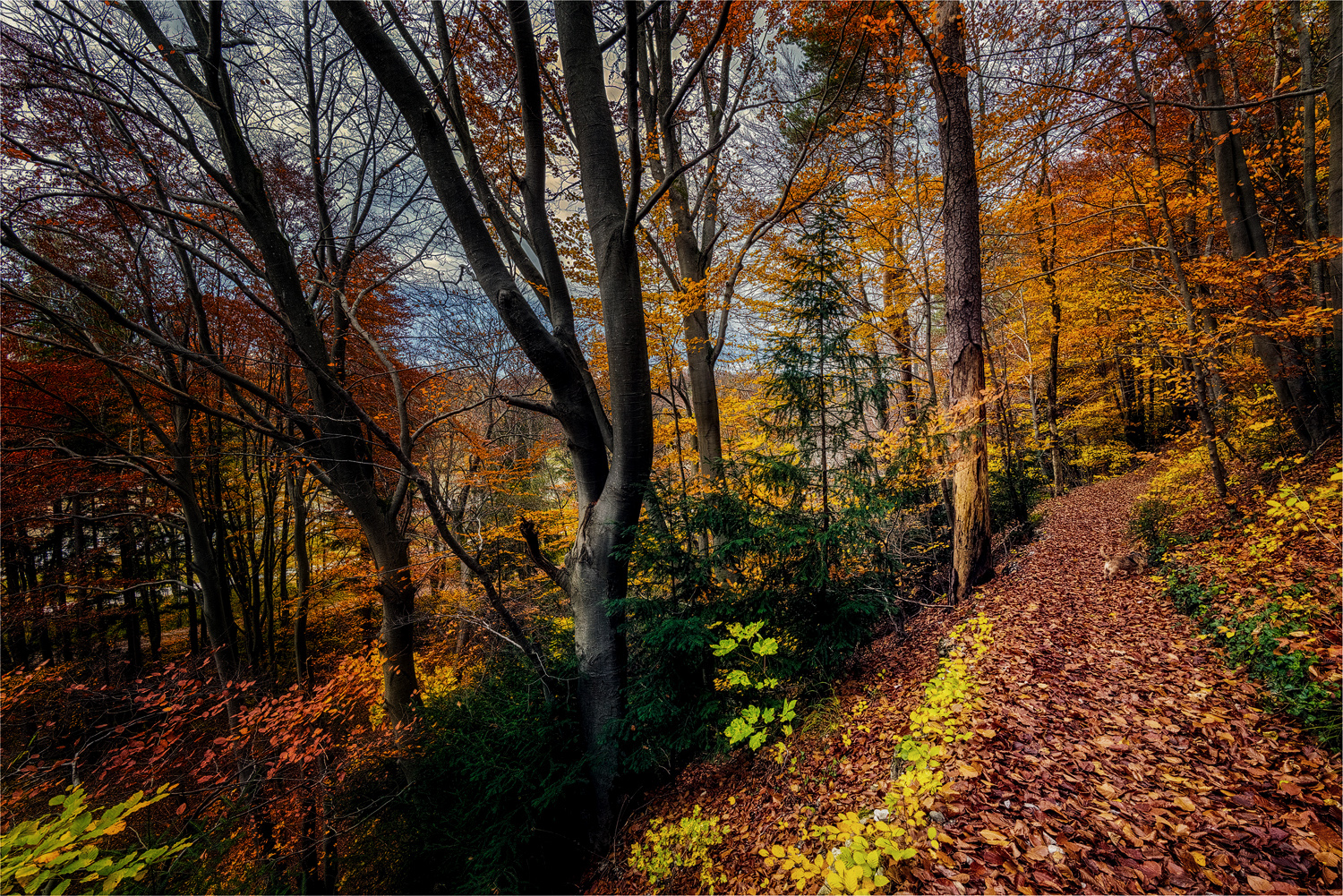 Mein täglicher Spaziergang ... ( 2 )