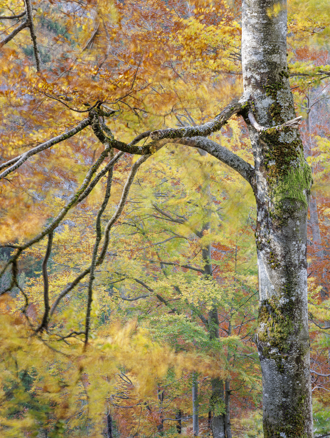 Herbstfarben