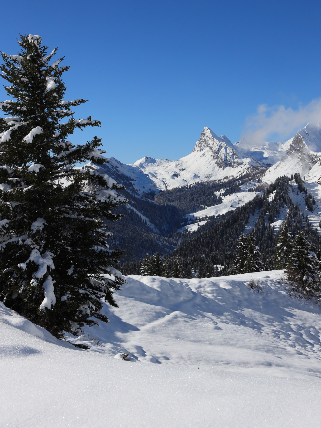 Winterlandschaft