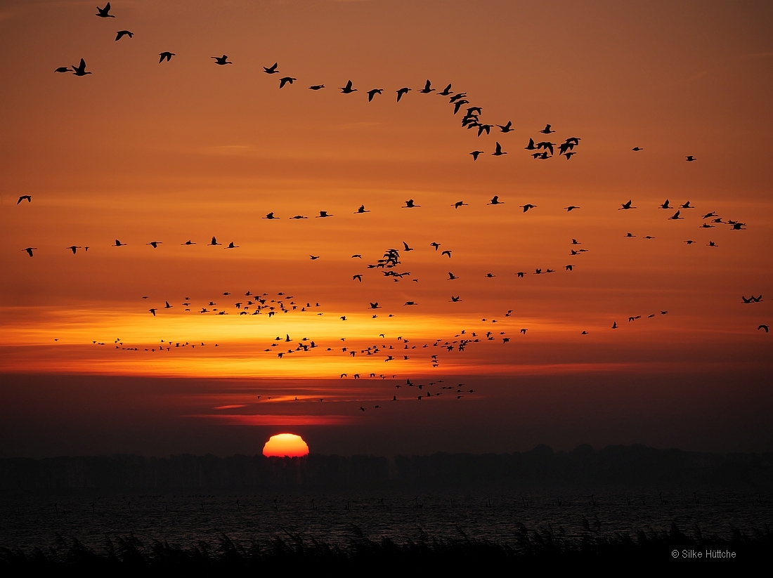 Wenn der Bodden erwacht