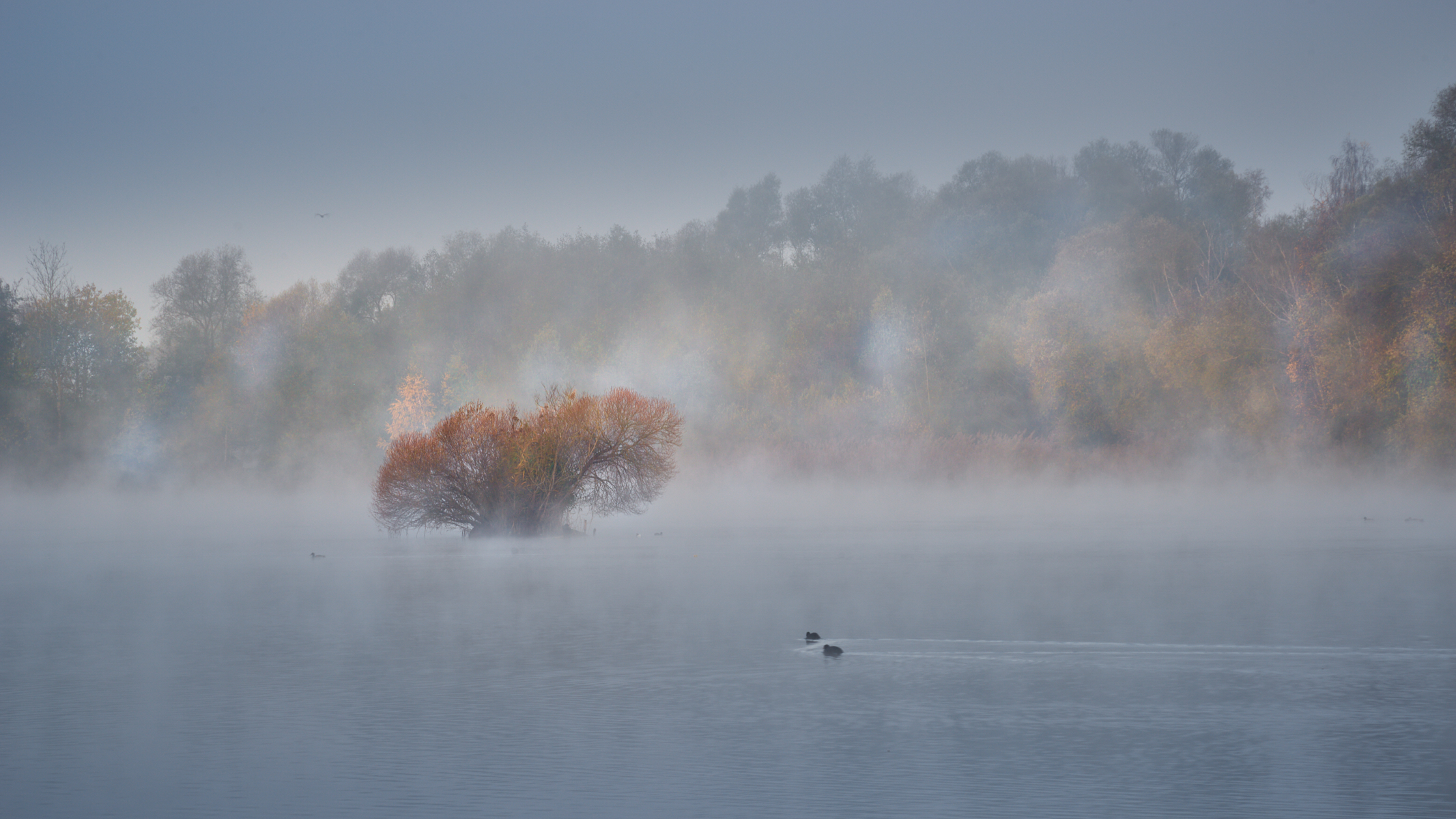 Herbstlicher Morgengruß