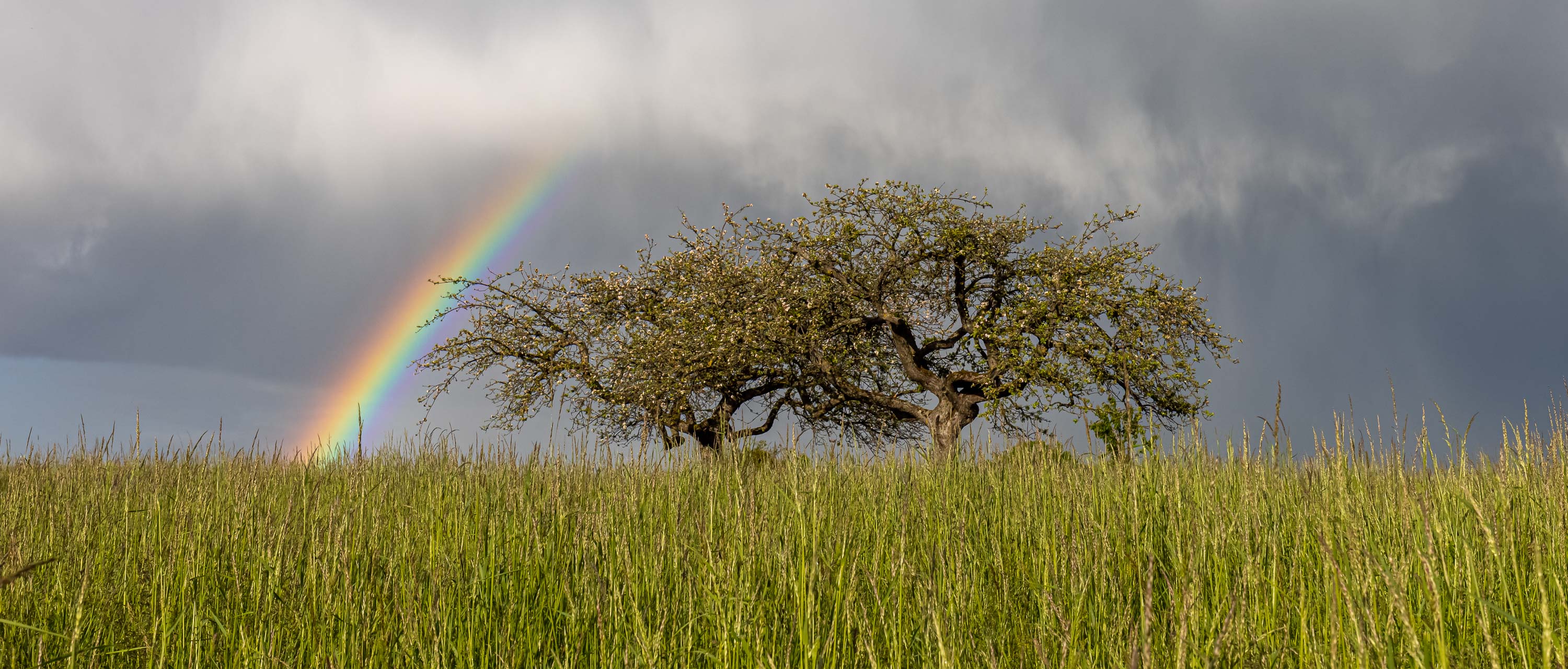 Nach dem Regen