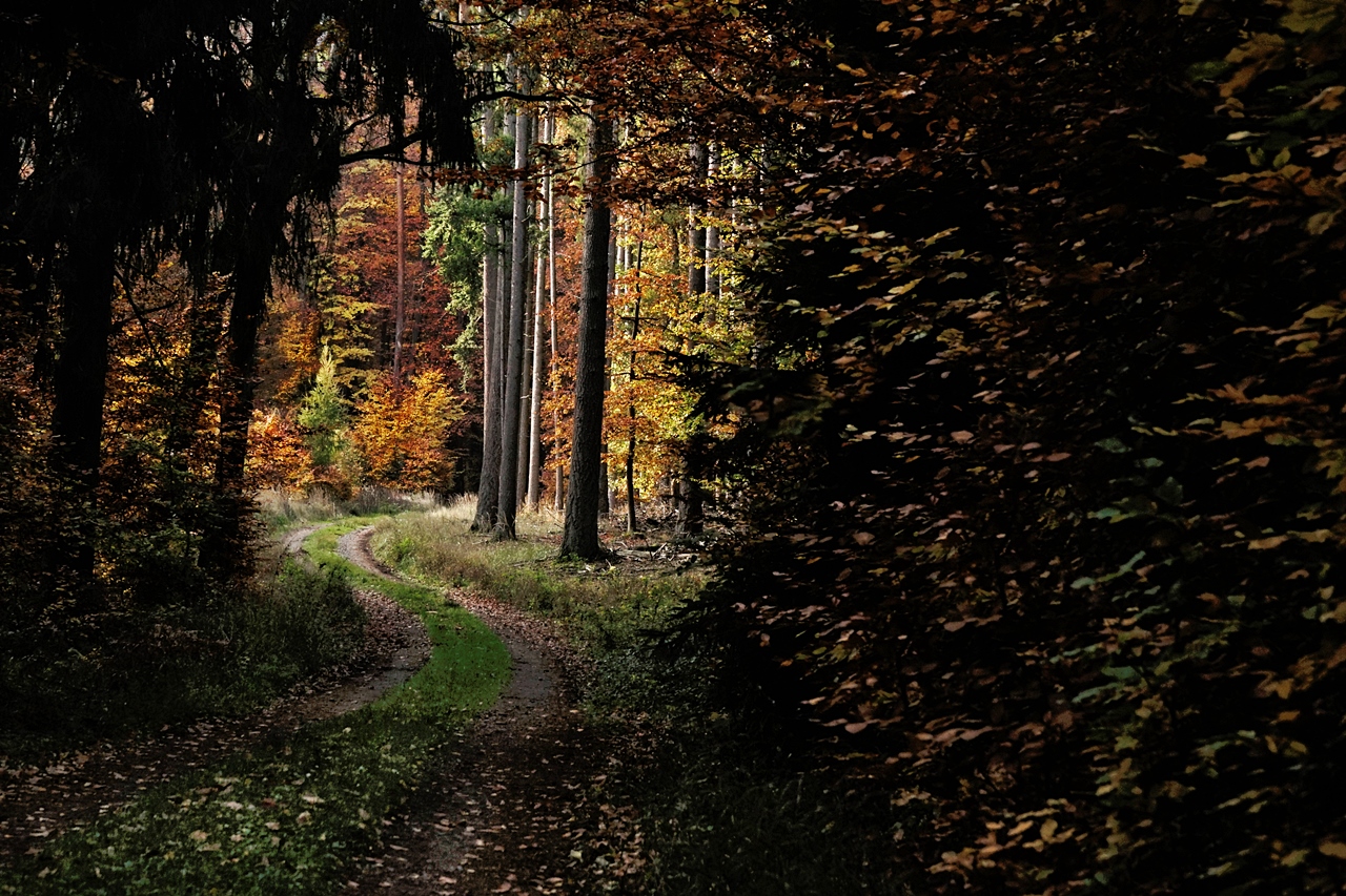 Hänsel-und-Gretel-Weg