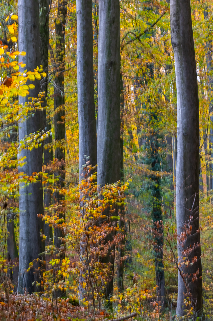 Herbst-Wischer