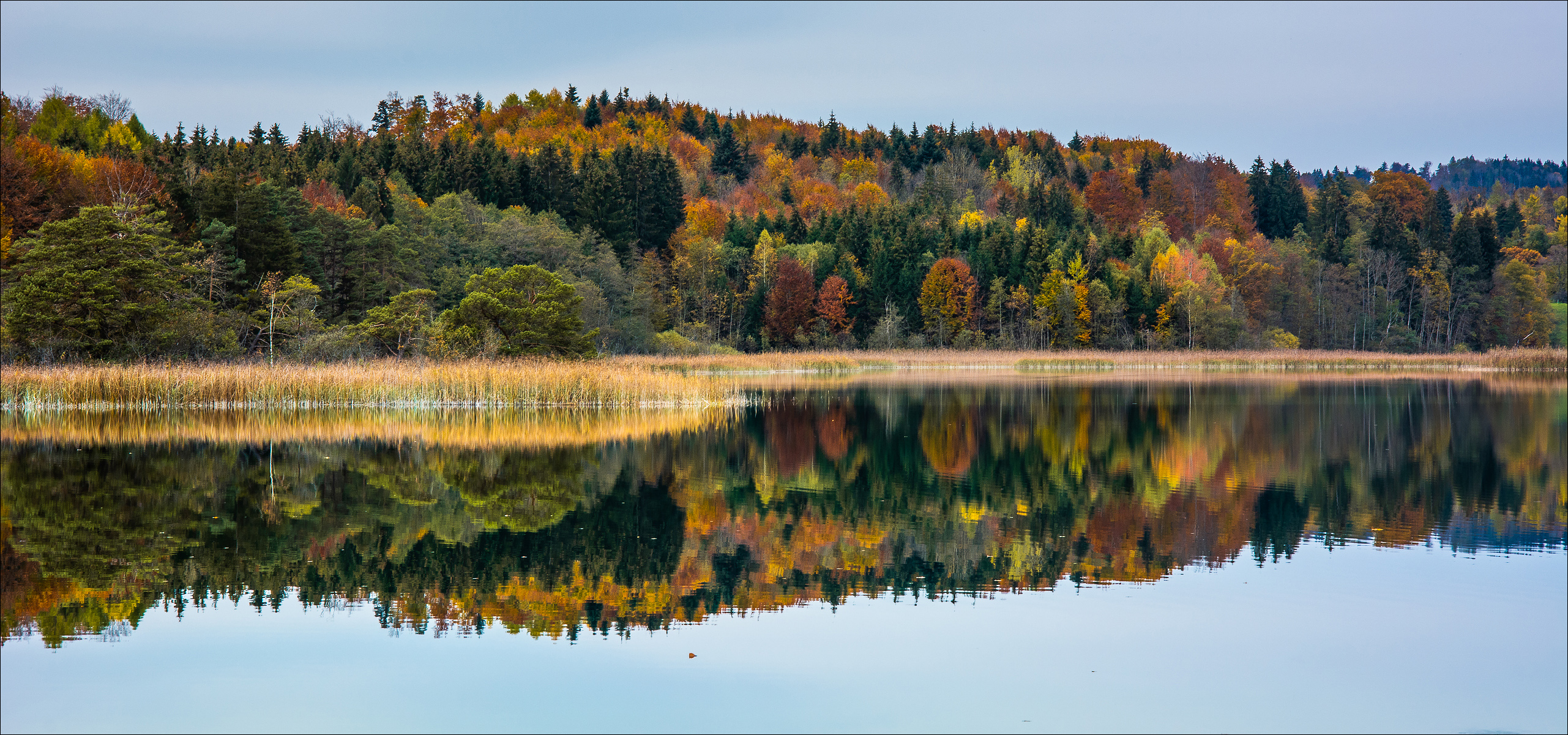 colors of autumn forum für naturfotografen