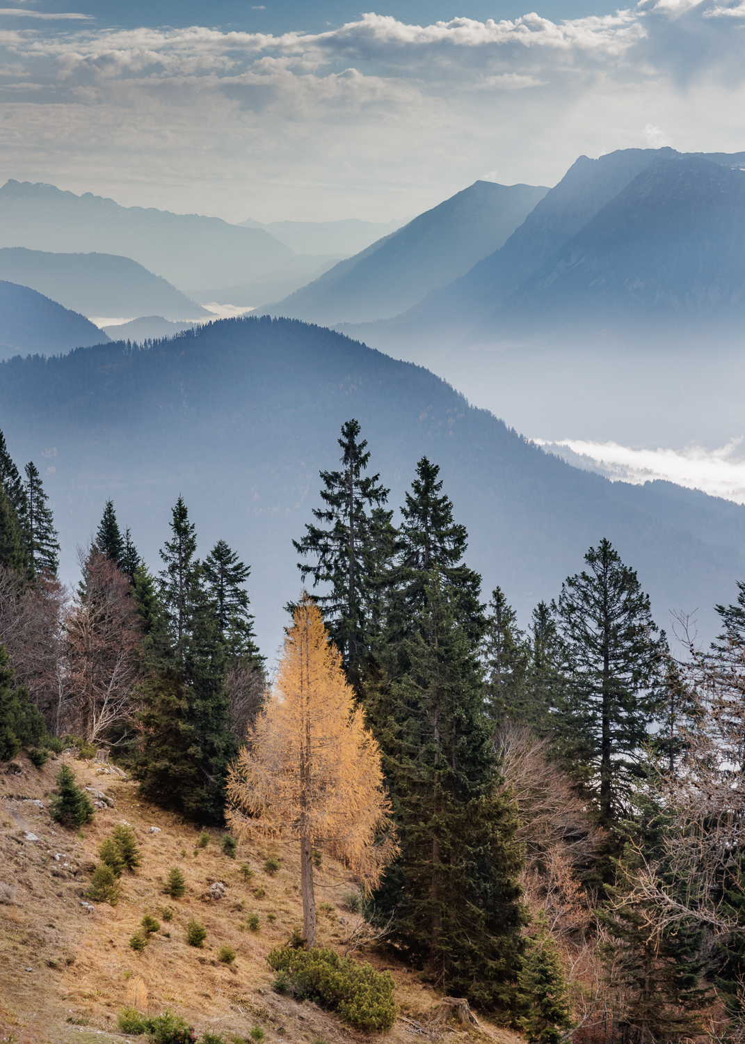Blick ins Tal