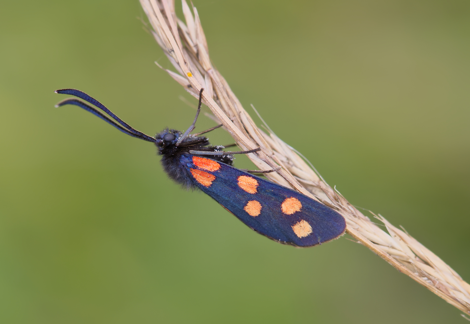 Ein paar Farbtupfer