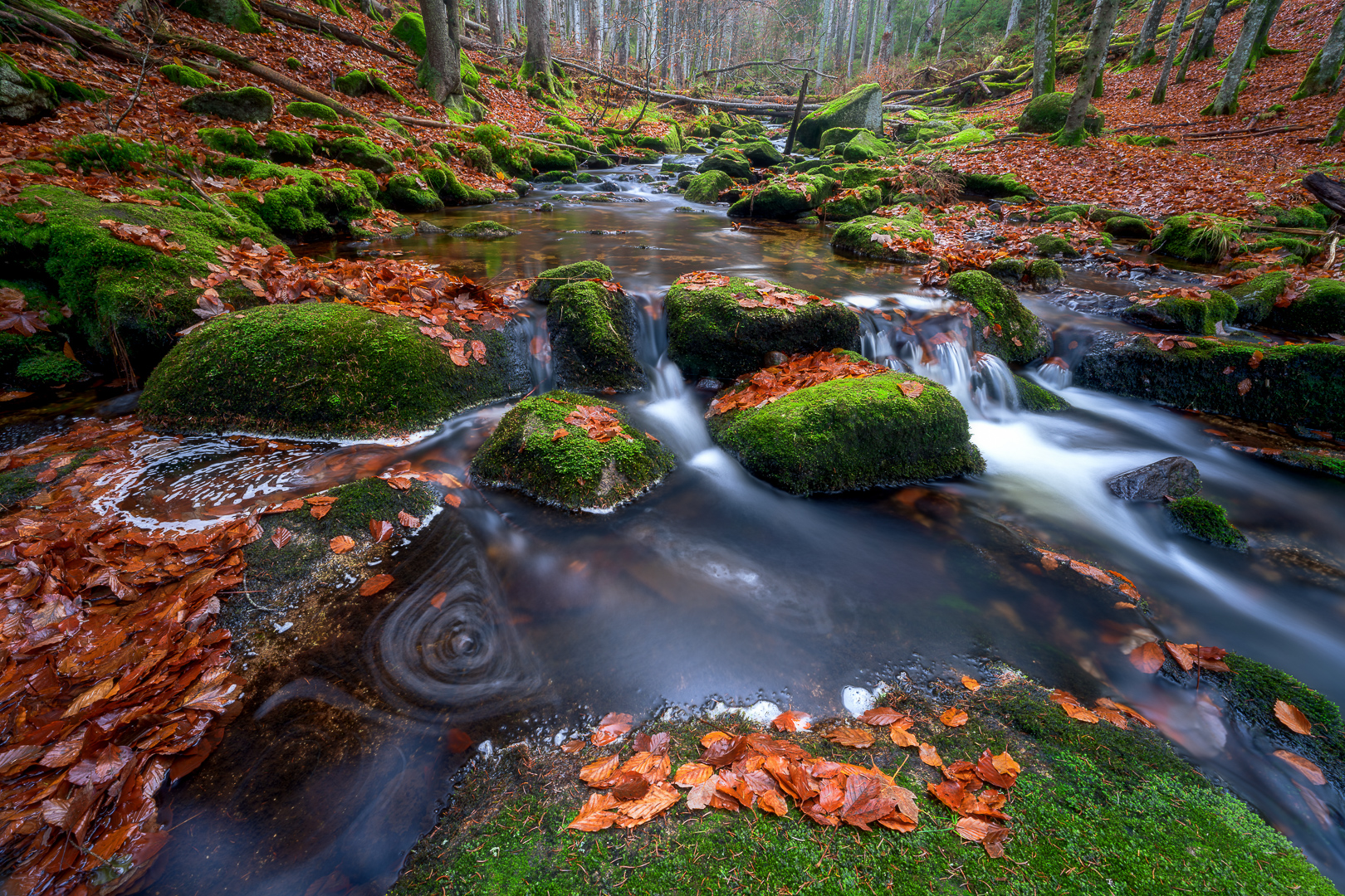 Herbst im bayerischem Wald