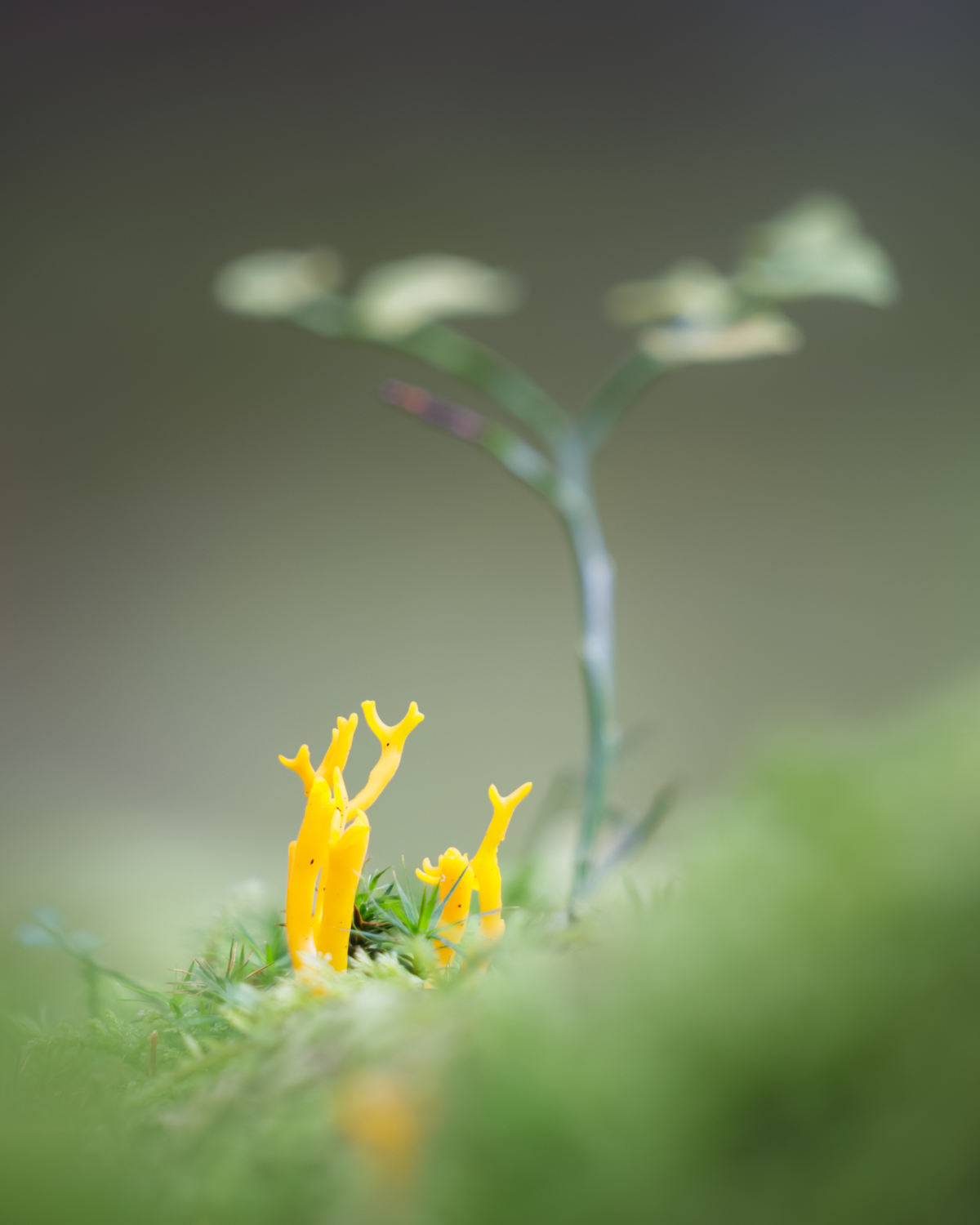 Unter Dach