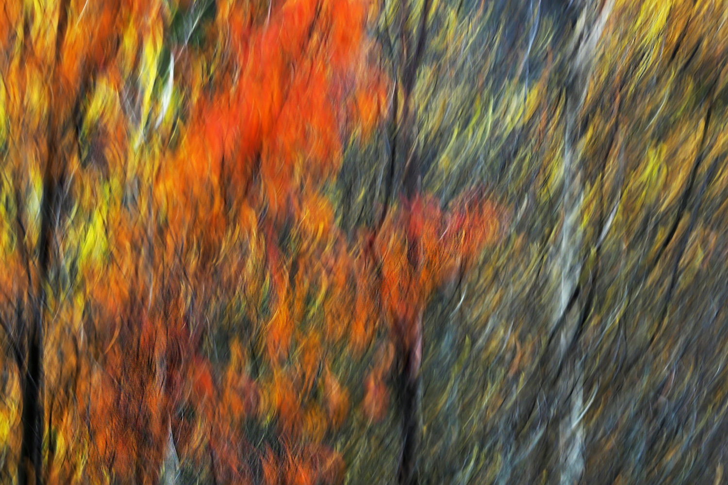 Die Farben des Herbstes
