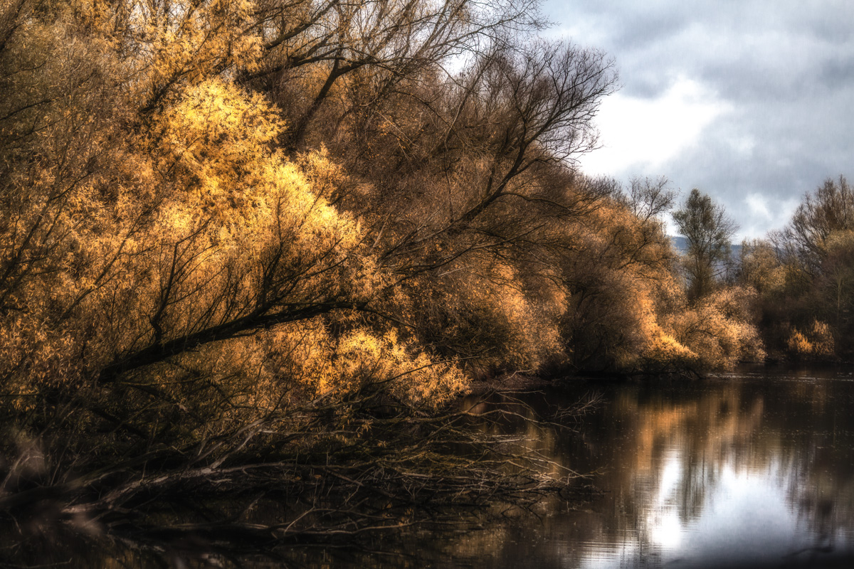 Herbst am Teich