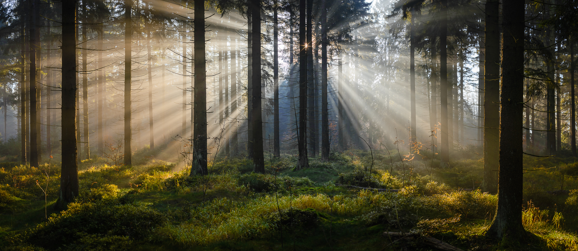 und es ward Licht