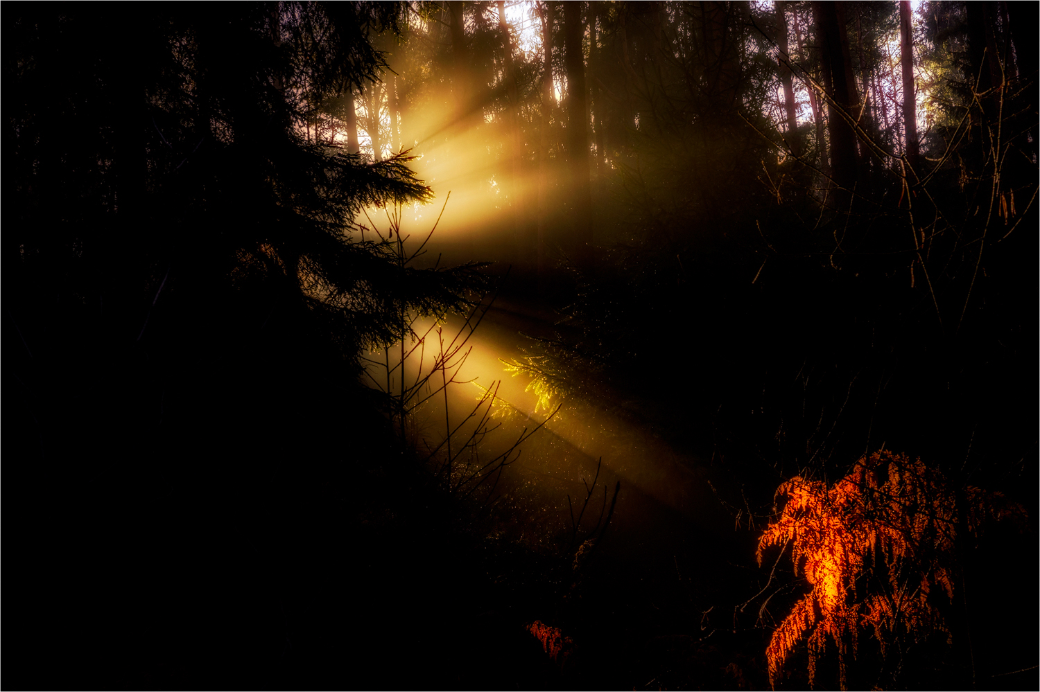 Here  comes the Sun