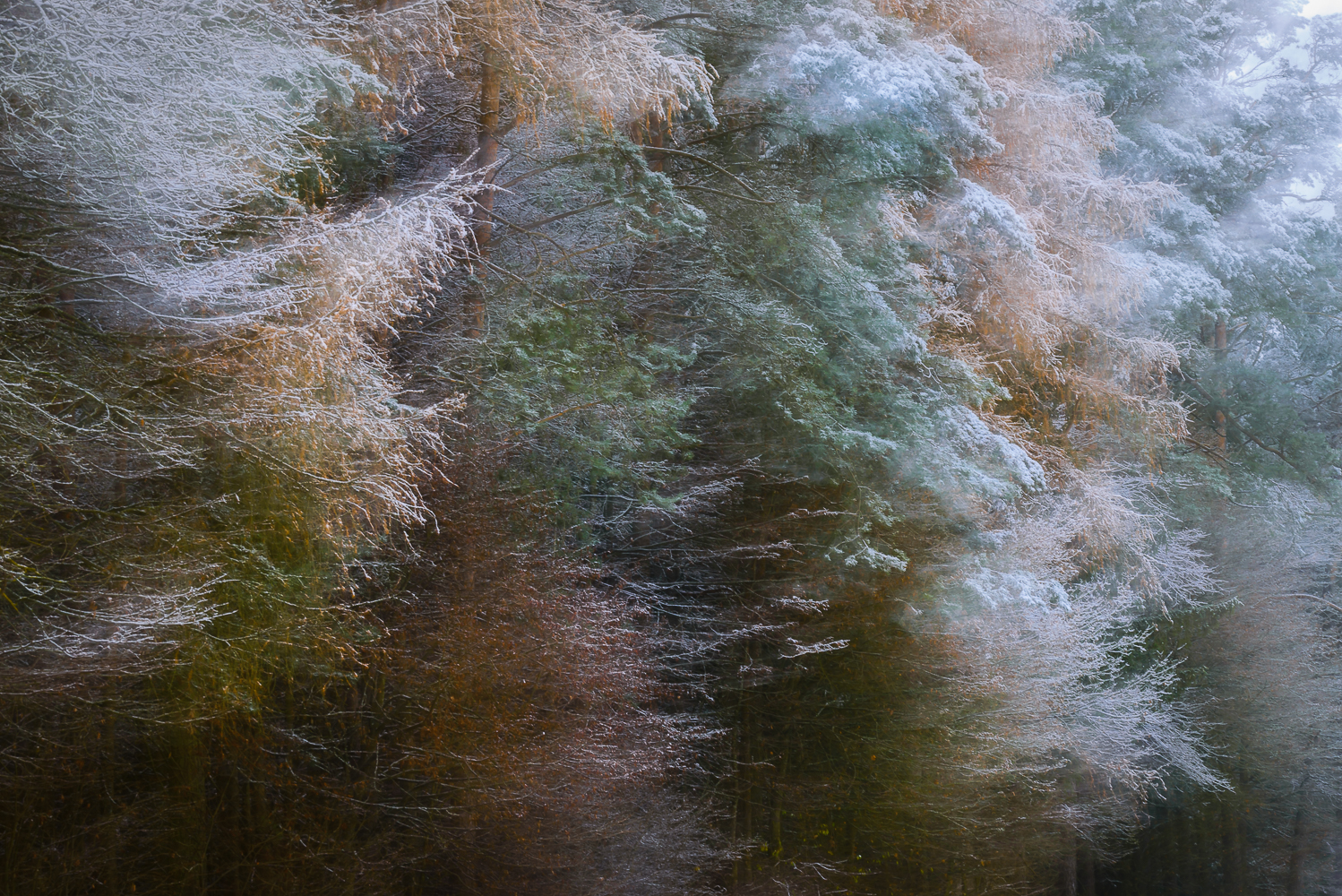 der erste Schnee