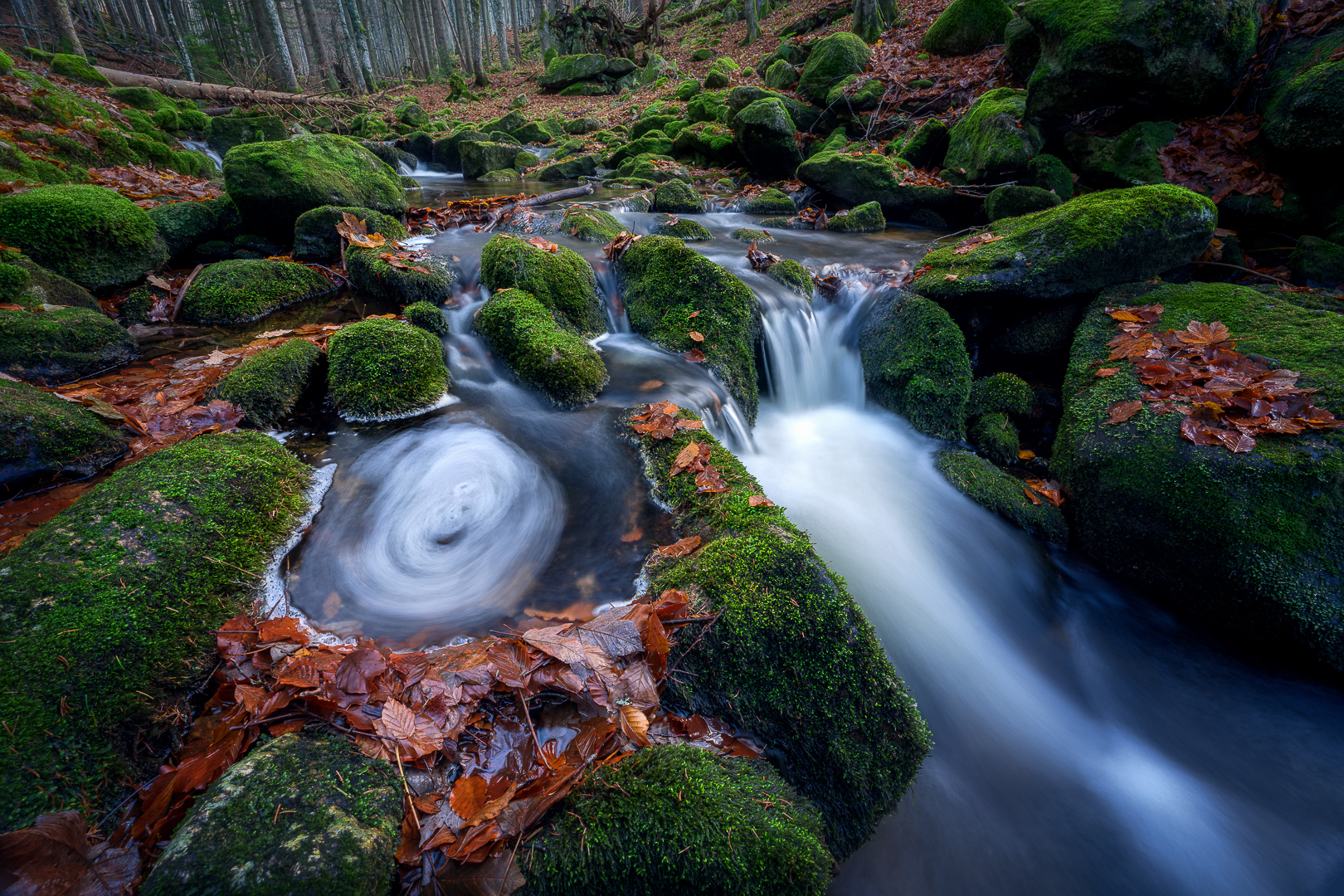 Nationalpark bayerischer Wald