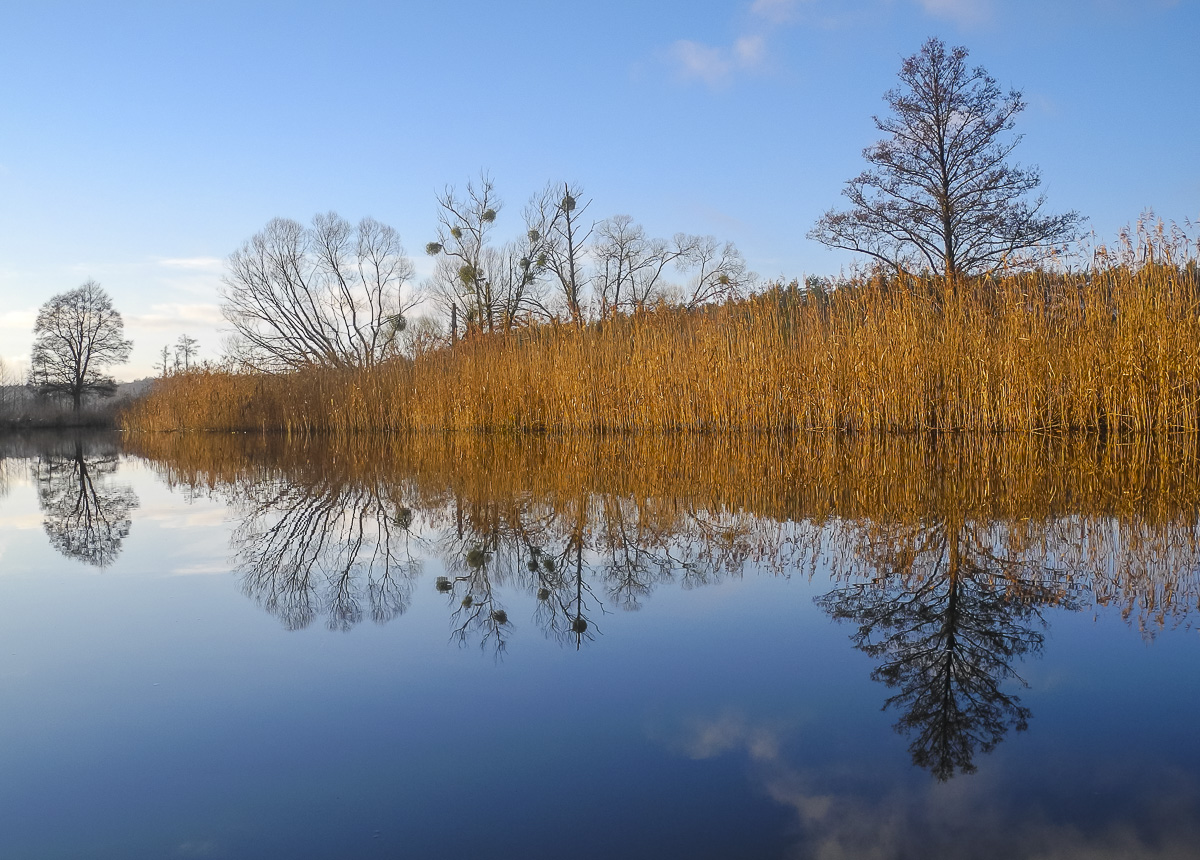 Winter an der Havel