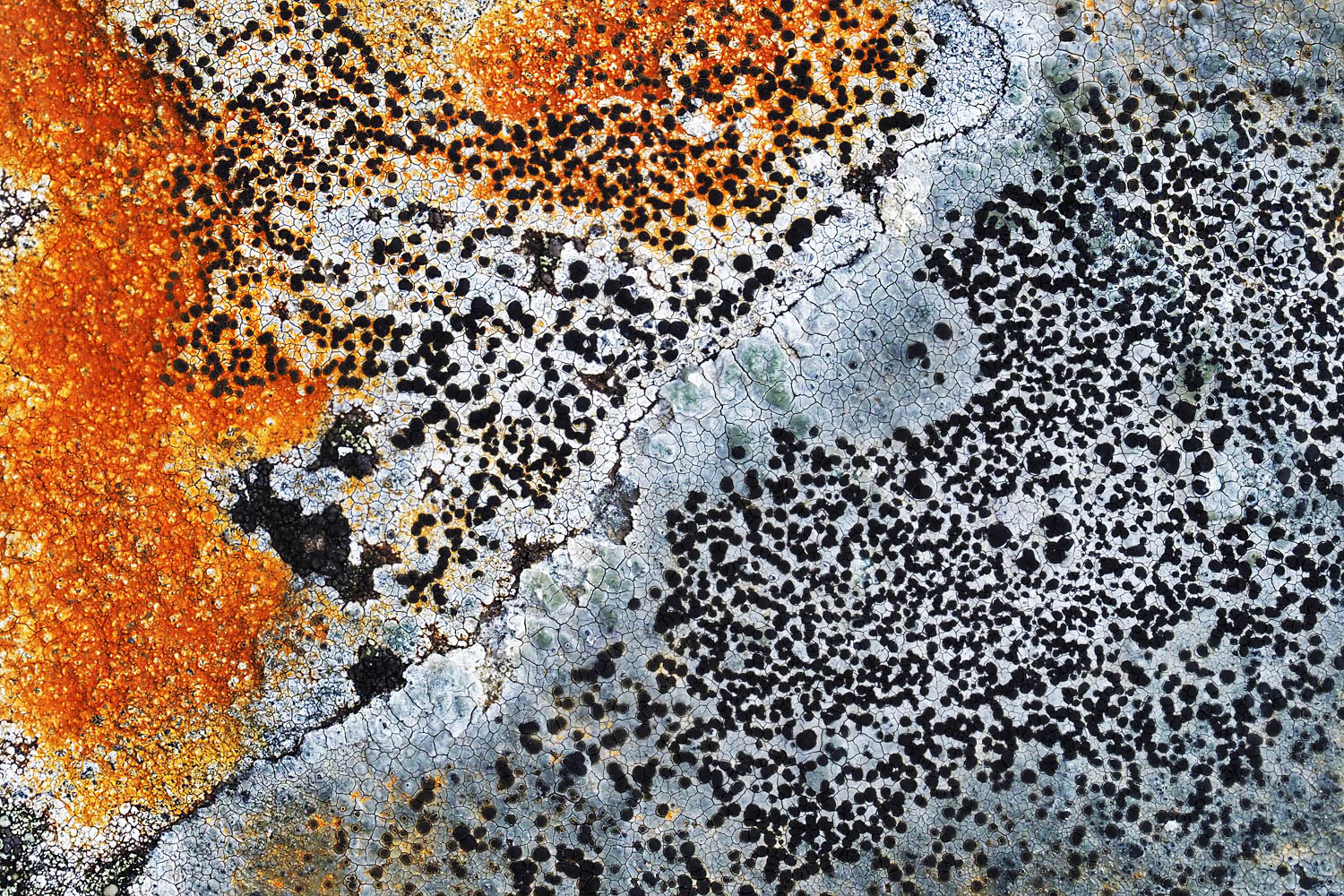 Naturwunderbild