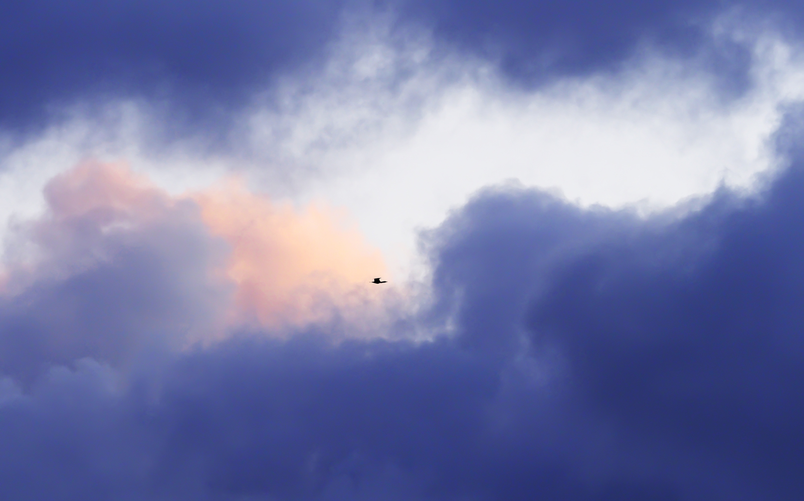Ich fliege einfach weg.....