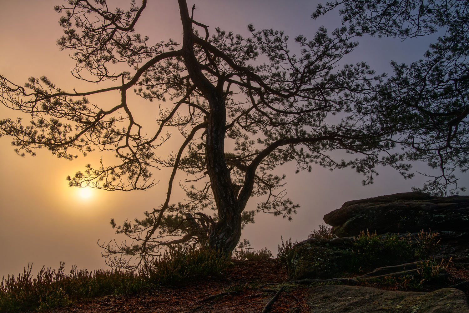 Sonnenaufgang a la Caspar David Friedrich...