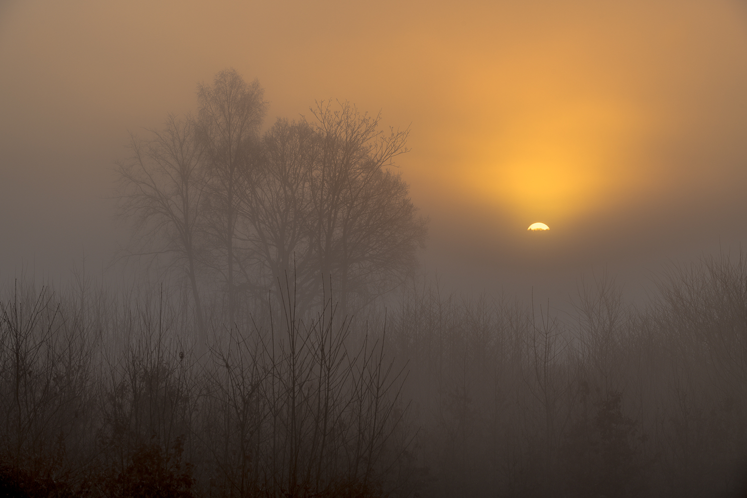 Sonnenaufgang im Nebel