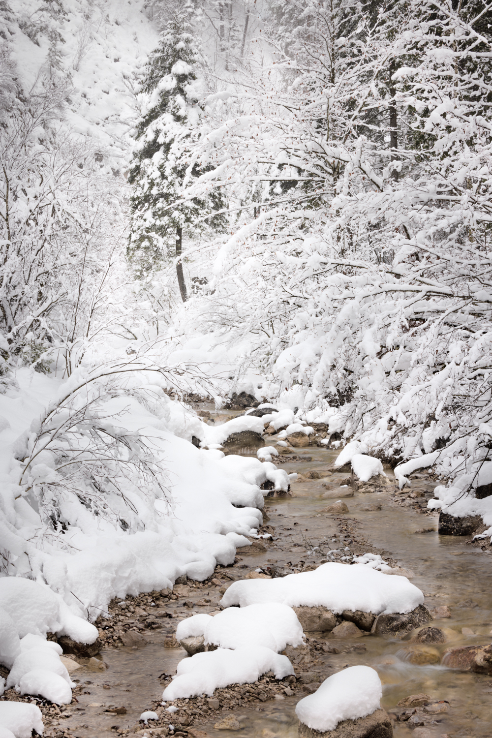 So ist Winter (Forum für Naturfotografen)