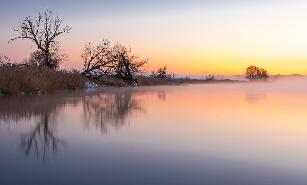 Wintermorgen an der Oder