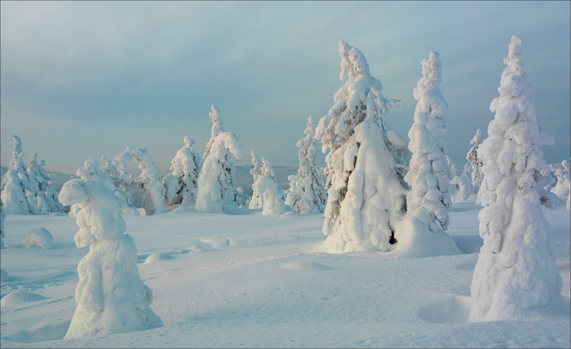 Winter aus der Konserve