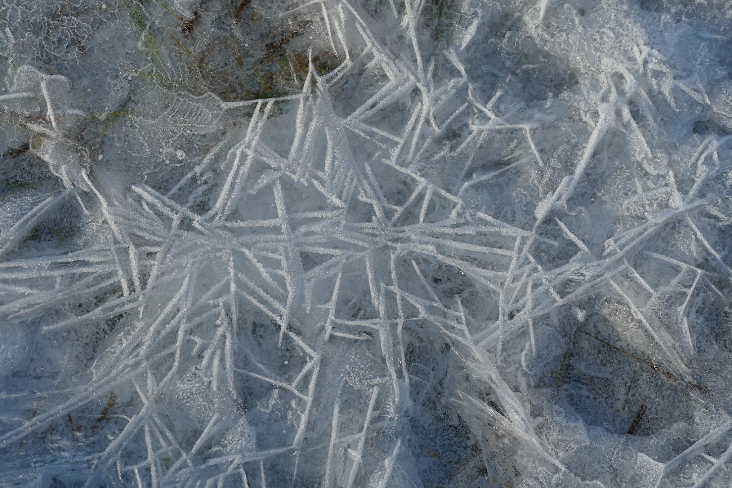 Eisstruktur