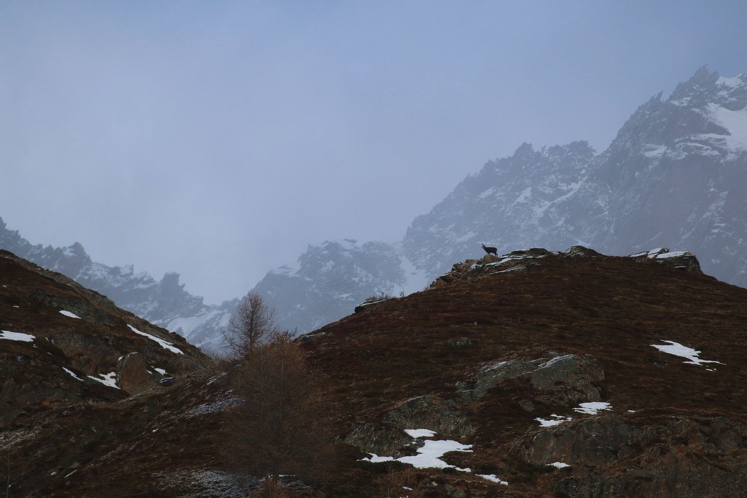 Blick in die Bergwelt