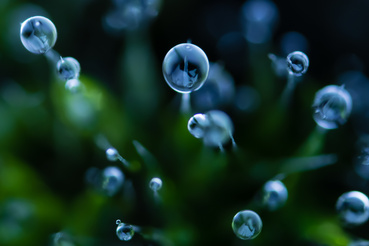 Nieselregen