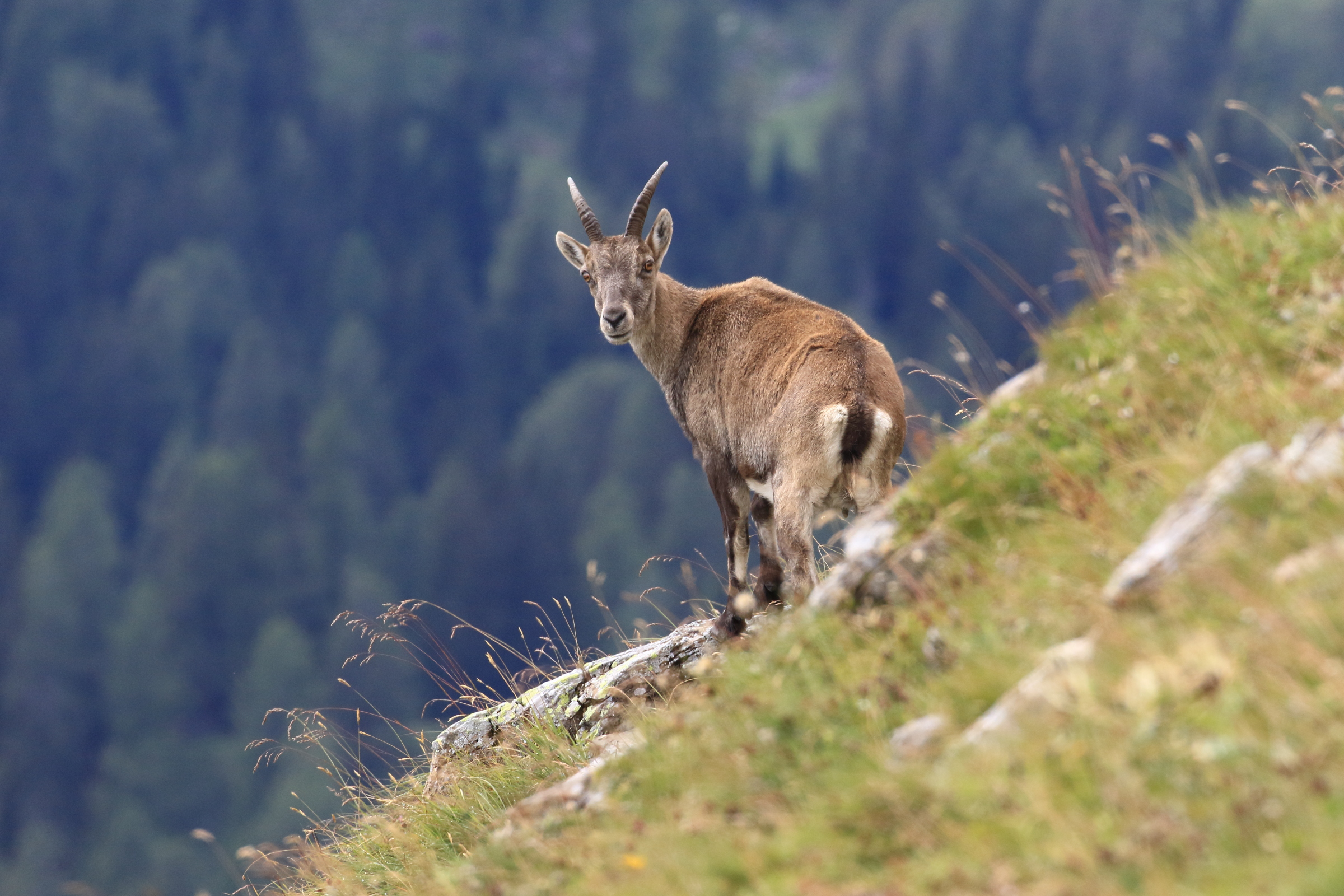 Blick zurück