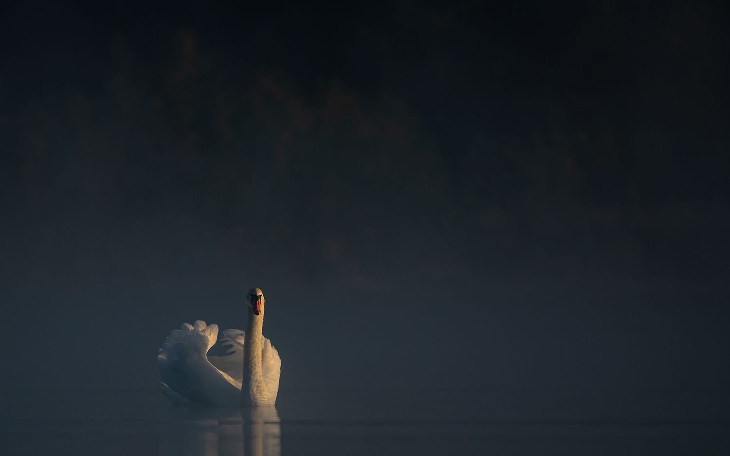 Herbststille auf den See