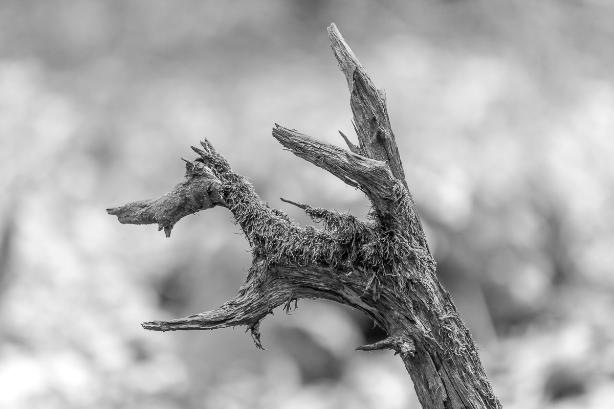 Fabelwesen aus Holz