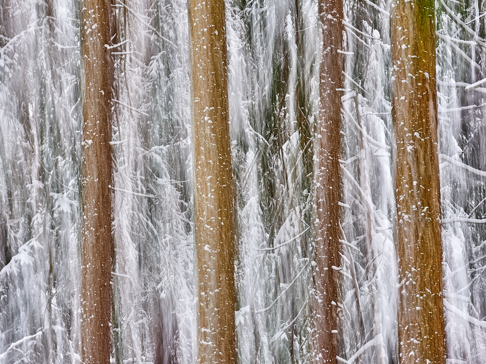 Der Schneefall