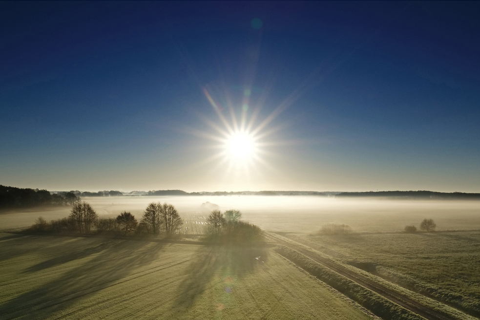 Der Morgen