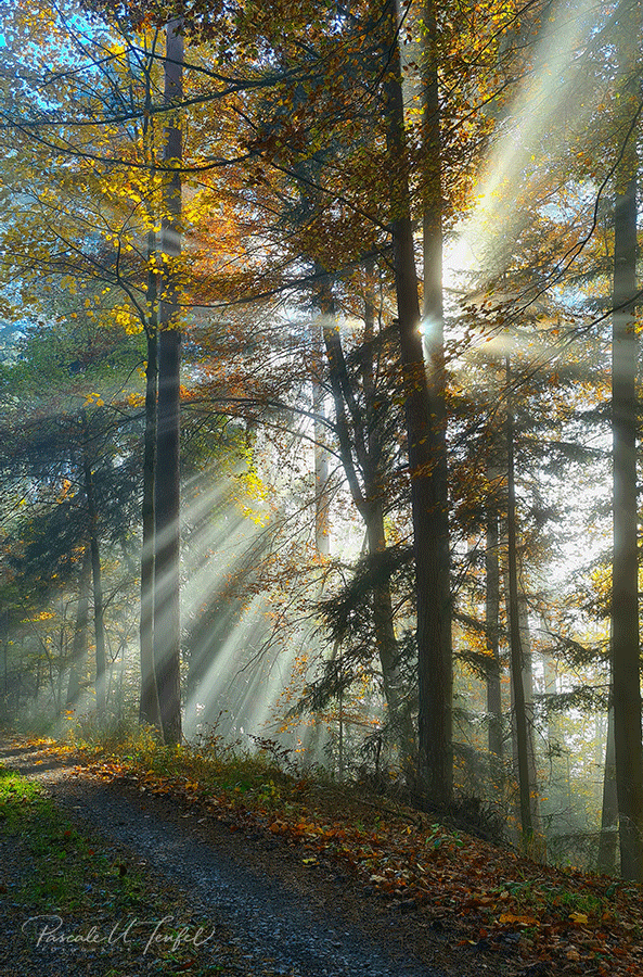 Es werde Licht!