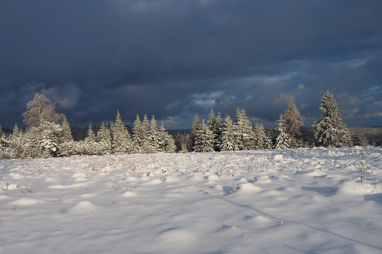 Der Schwarzwald ist wieder weiss