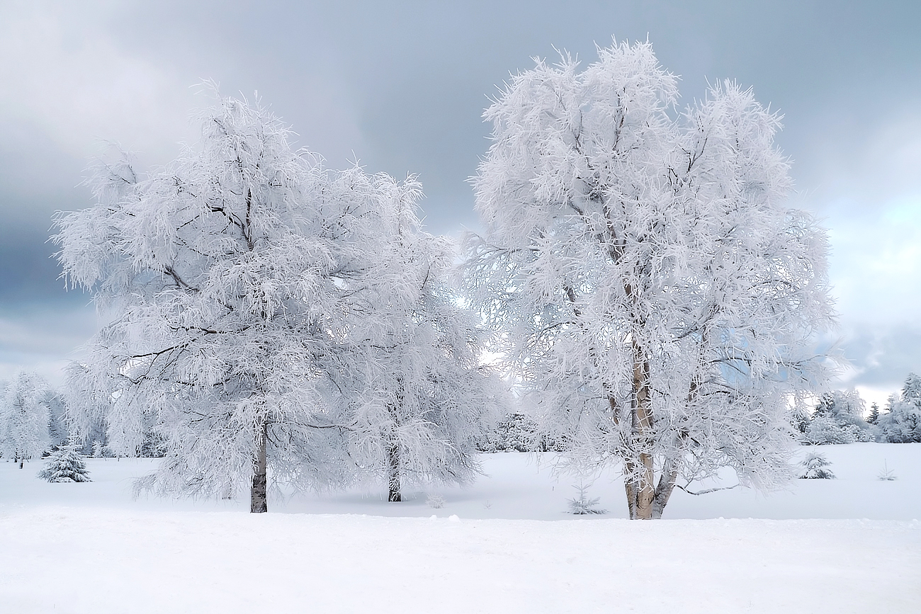 Winterlandschaft
