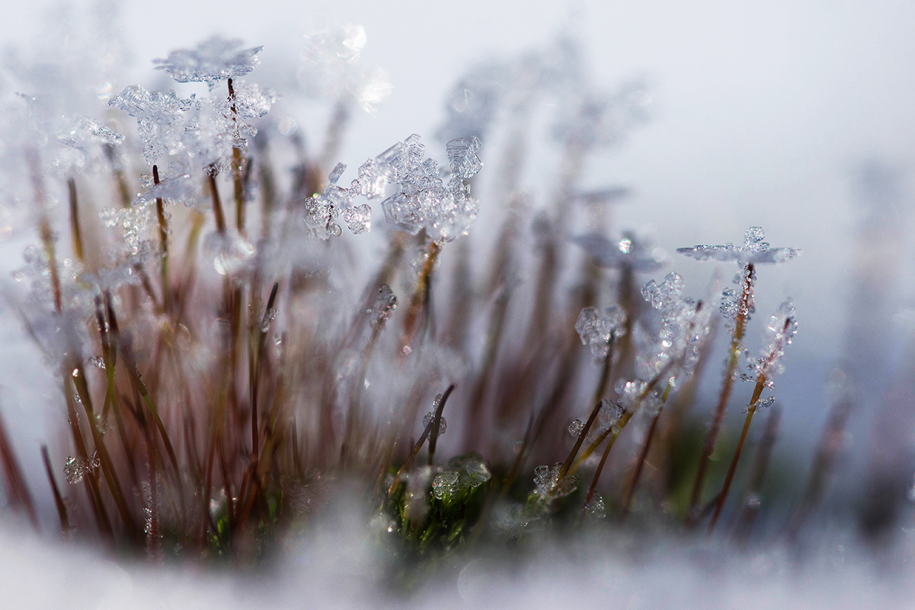 Winterschmuck