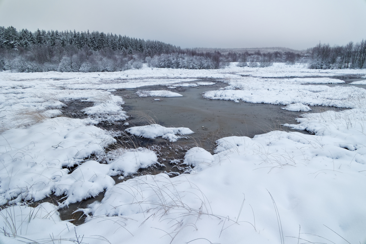 Besuch beim Winter 2022