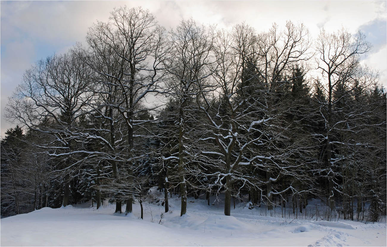 Winter - der kühle Gestalter