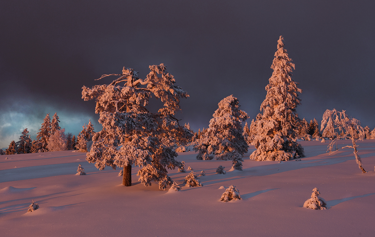 Winter ...,