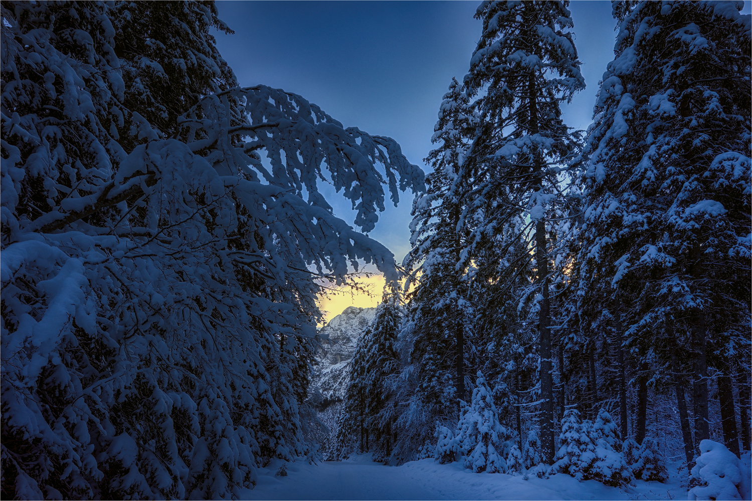 Tiefer Winter kurz vor dem Ferchensee