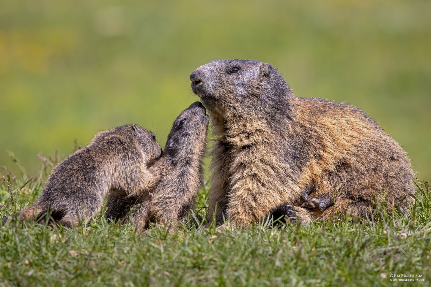 Familie