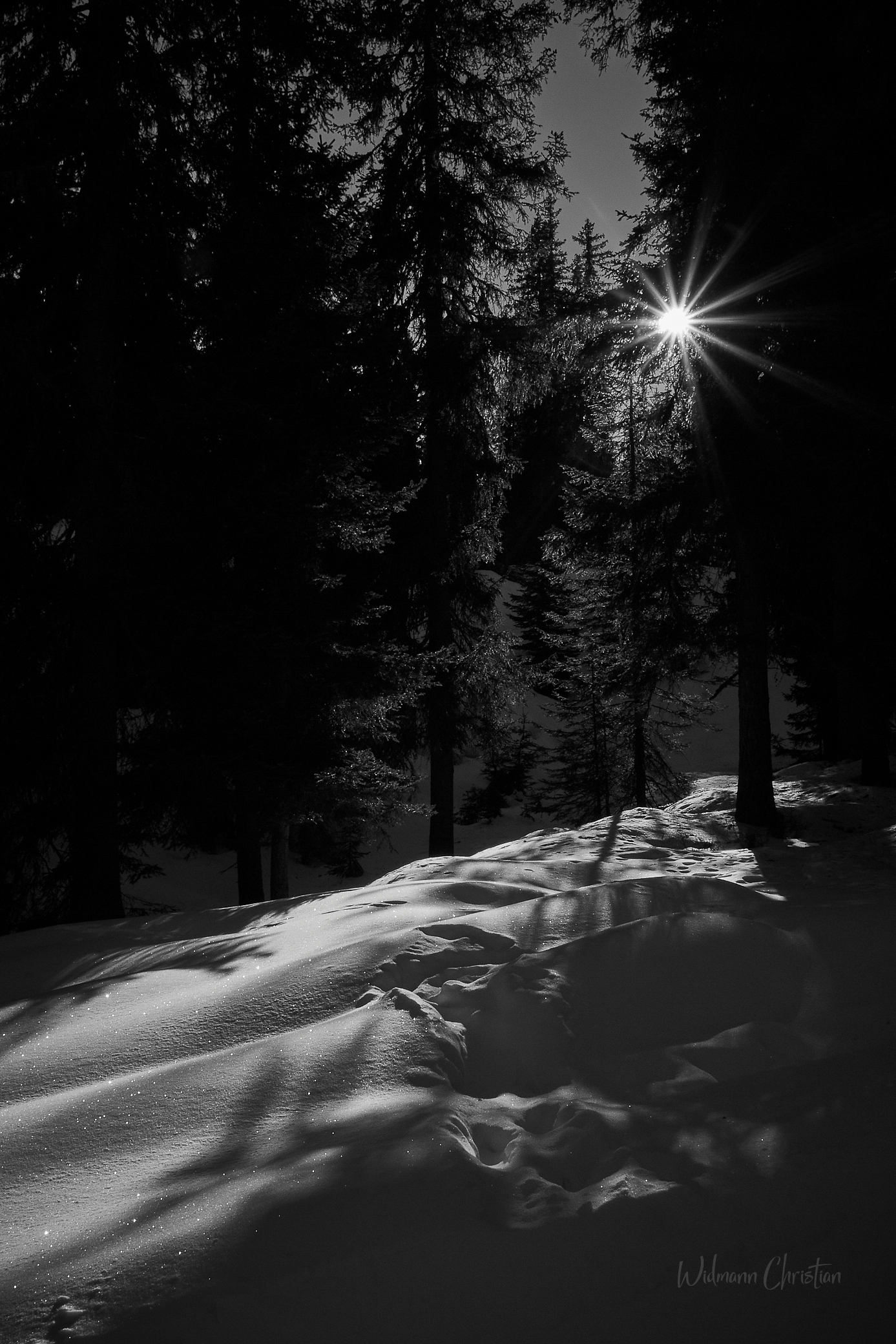 Strahlen im Winterwald