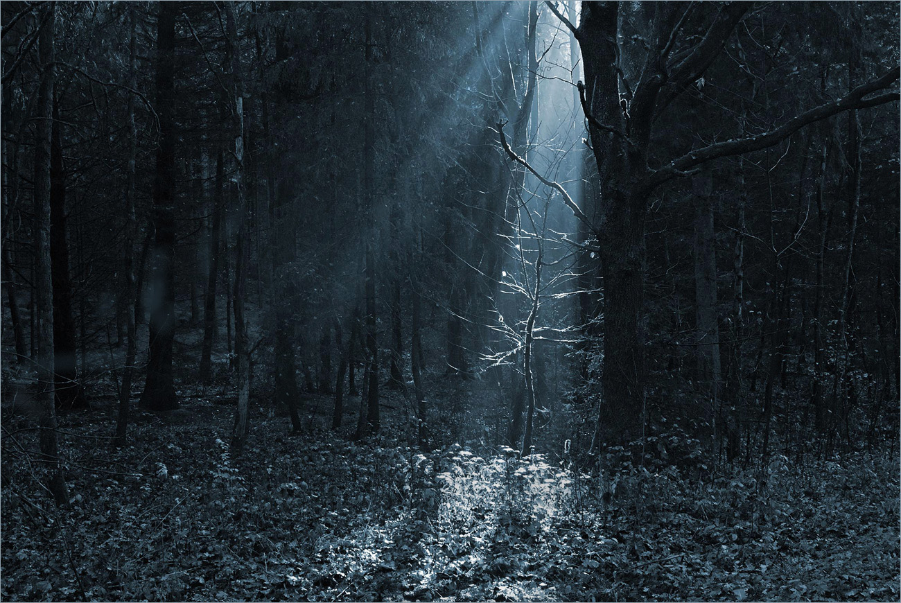 Kühle Tage - kaltes Licht