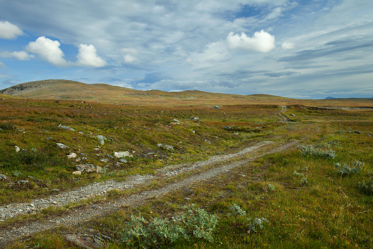 Weite des Stekenjokk (Lappland)