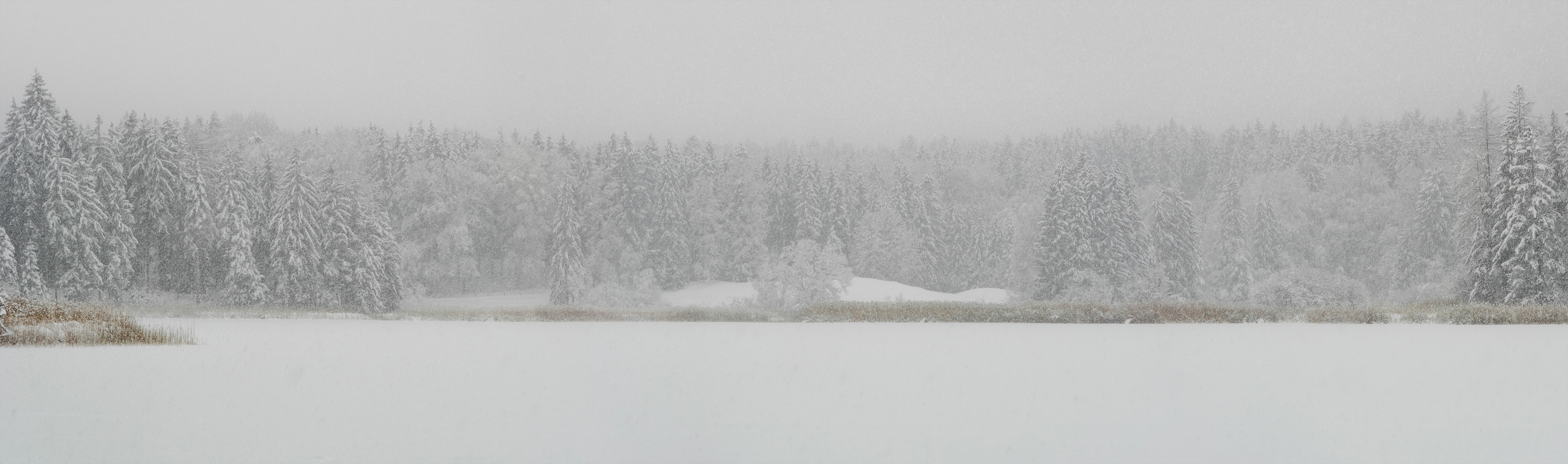 Schneetreiben